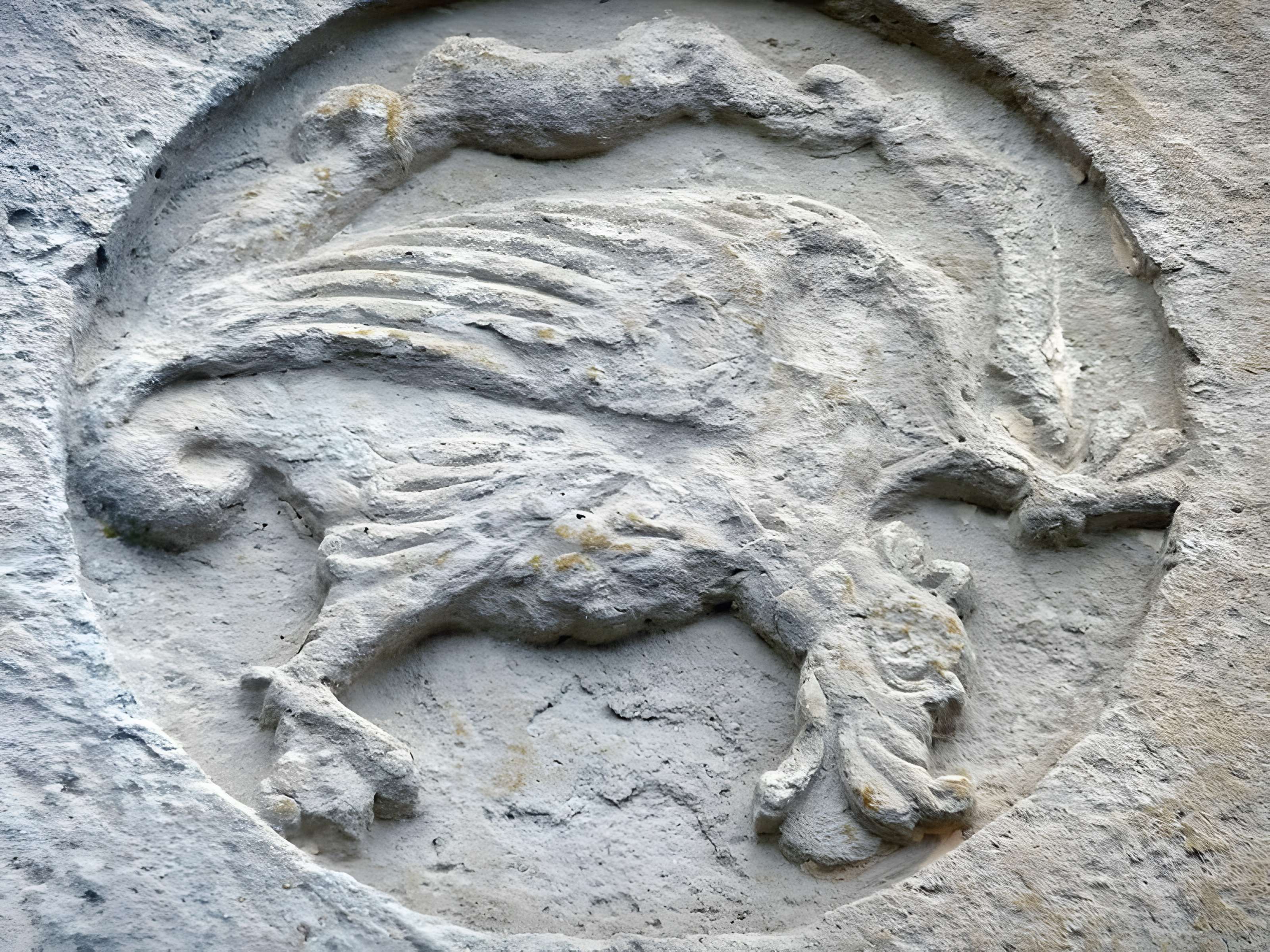 Église Saint-Pierre-et-Saint-Pardoux d'Arnac-Pompadour