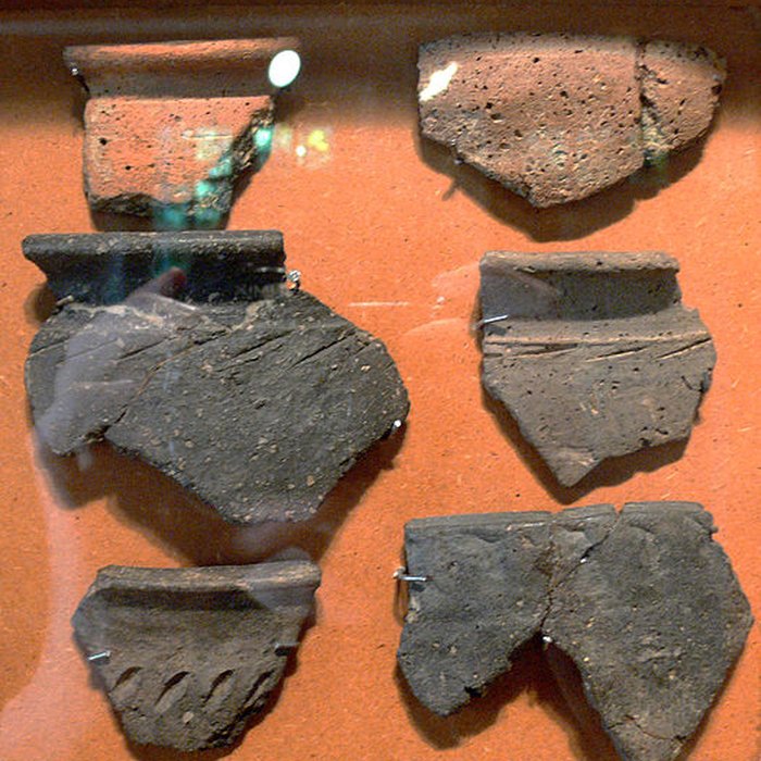 Photo de Établissement rural gallo-romain de Chassey-lès-Montbozon