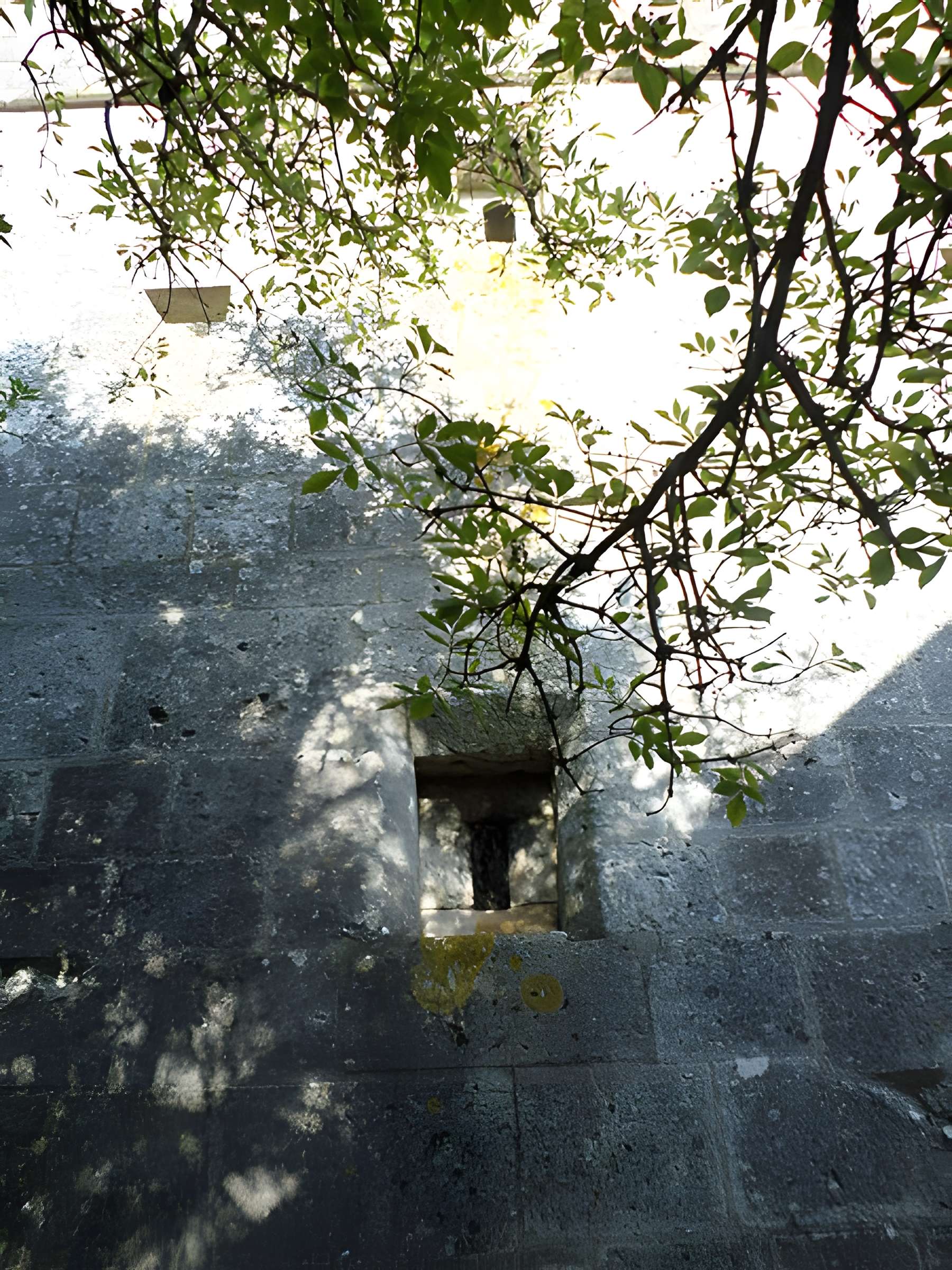 Église Saint-Remy d'Aouste