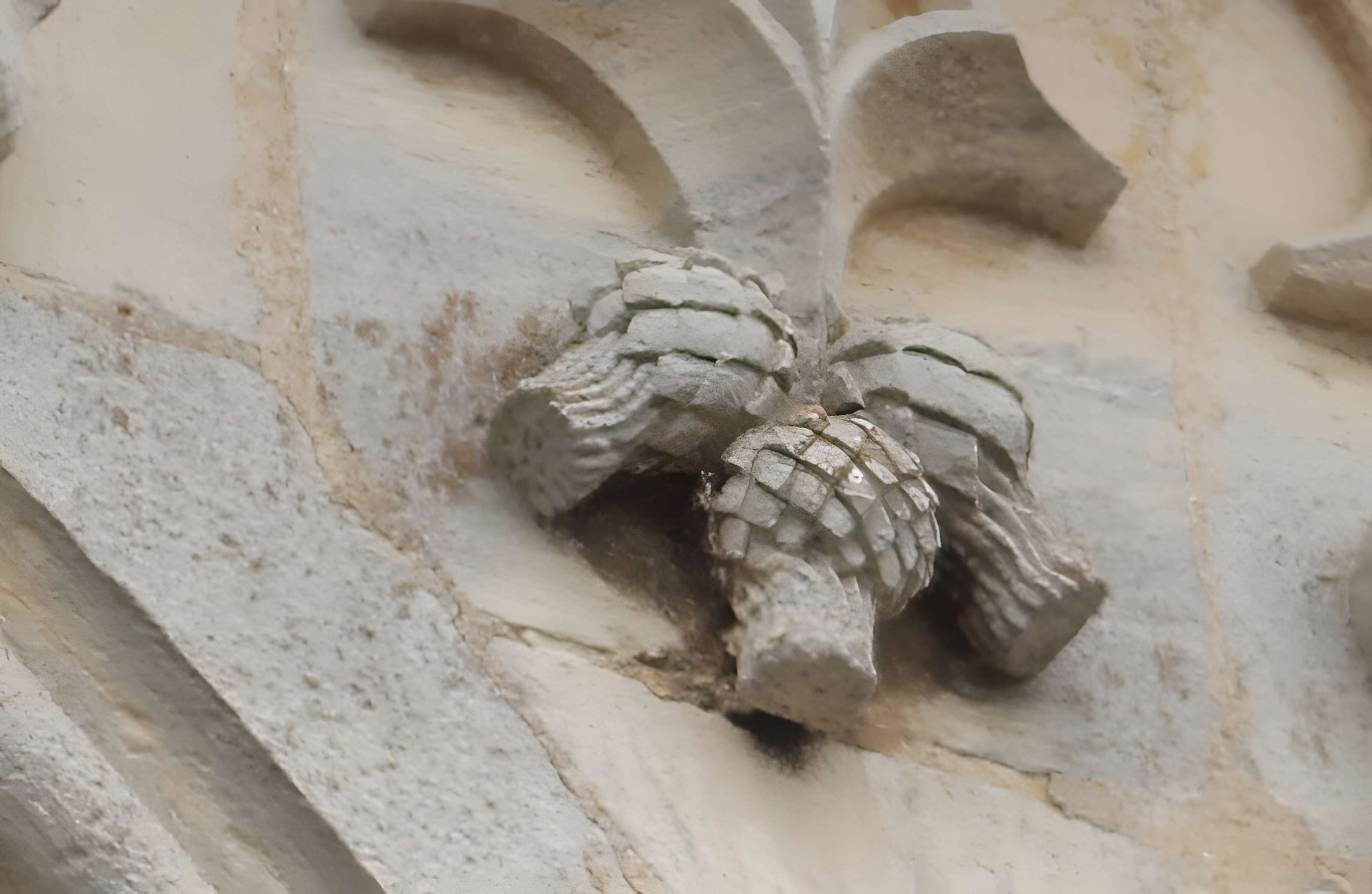 Église Saint-Remy de Ceffonds