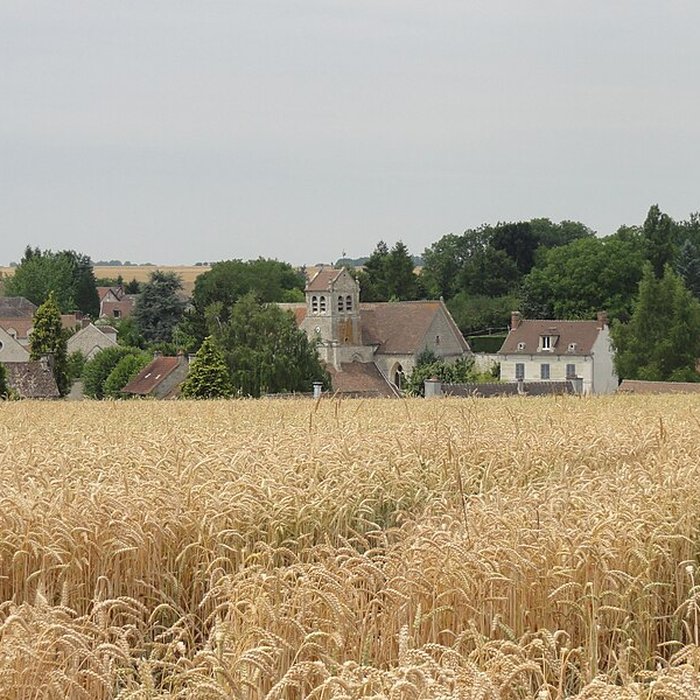 Photo de Église Saint-Romain de Wy-dit-Joli-Village et une croix