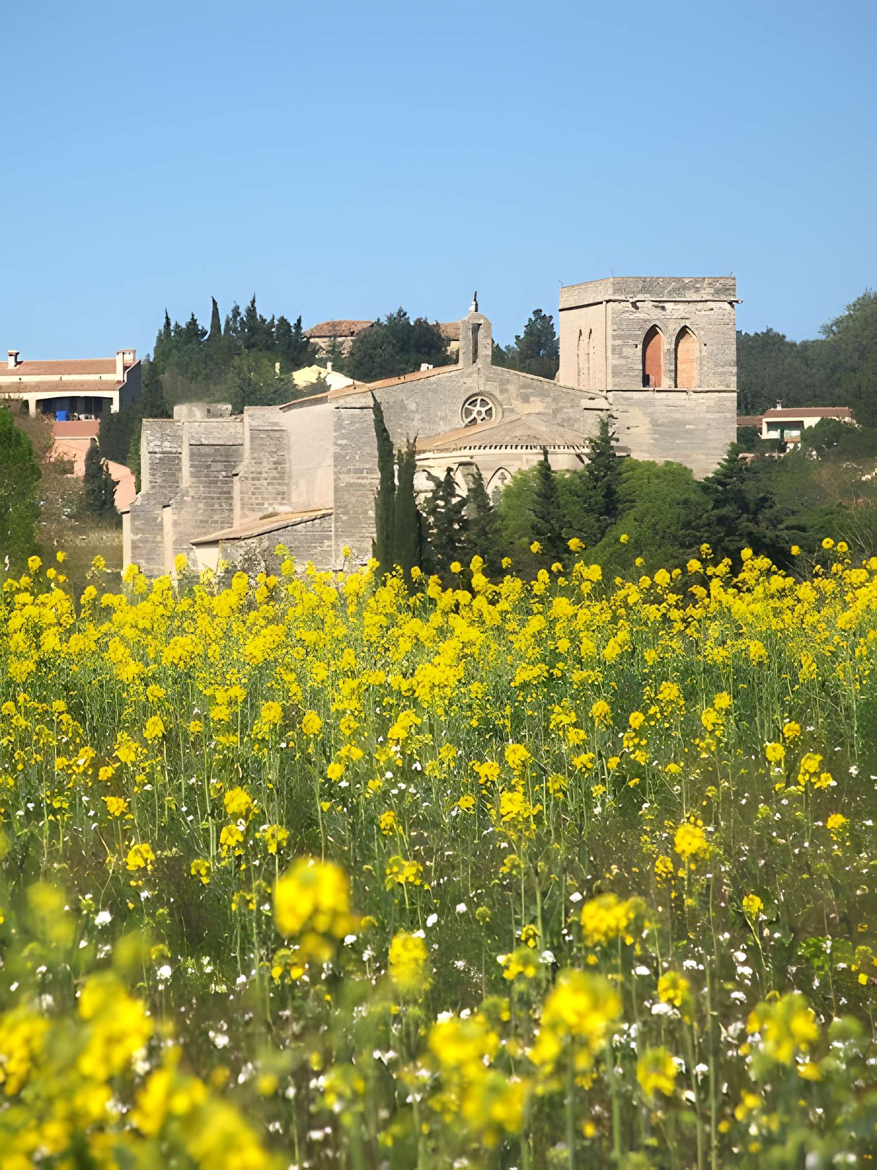 Église Saint-Saturnin de Tourbes