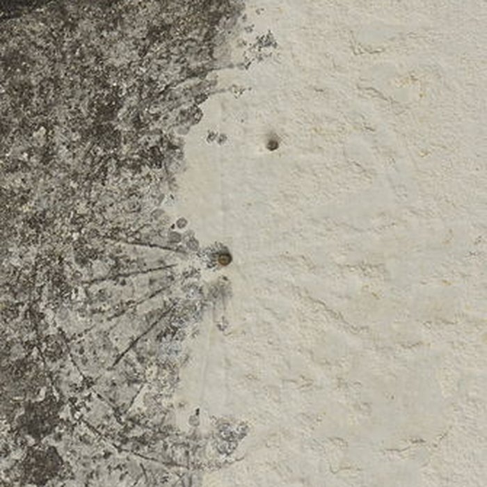 Photo de Église Saint-Sauveur de Hermonville