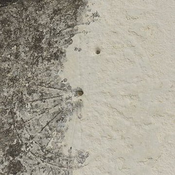 Église Saint-Sauveur de Hermonville