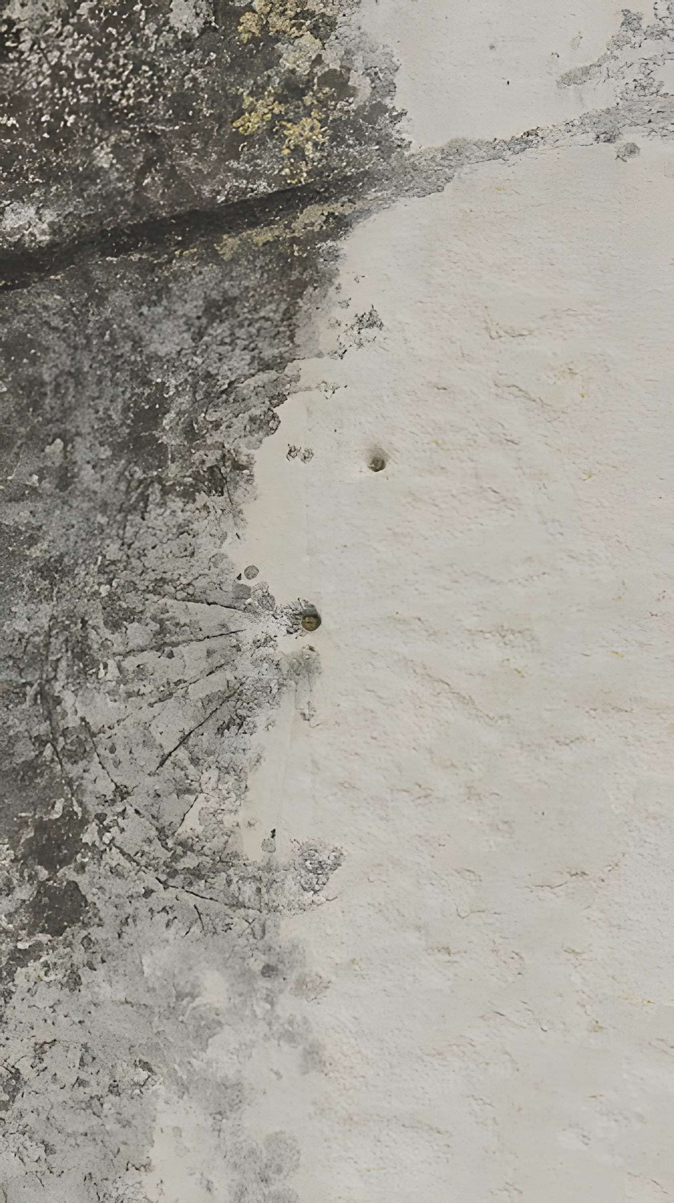 Église Saint-Sauveur de Hermonville