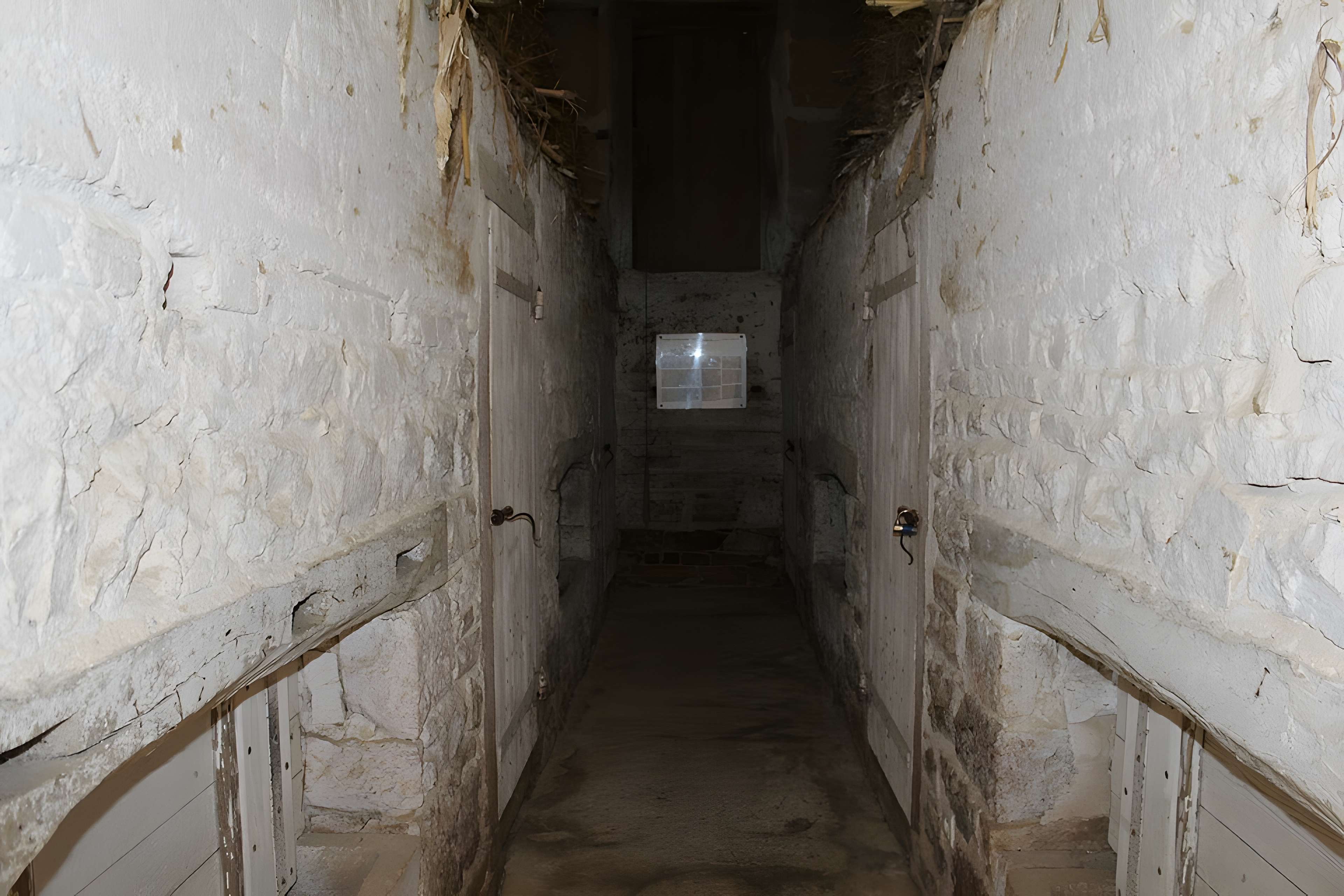 Ferme des Planons à Saint-Cyr-sur-Menthon