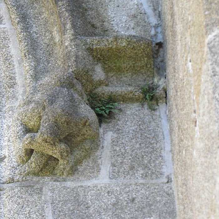 Photo de Église Saint-Sulpice de Fougères
