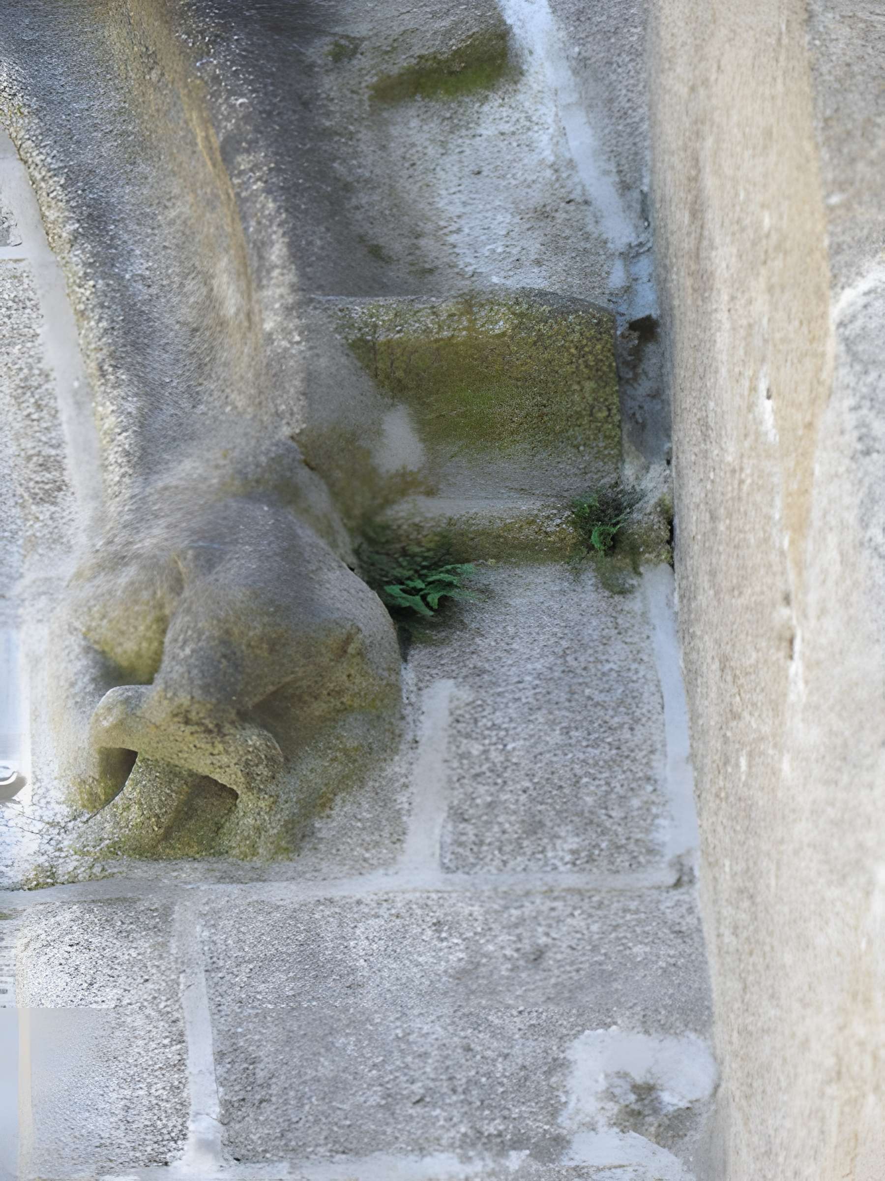 Église Saint-Sulpice de Fougères