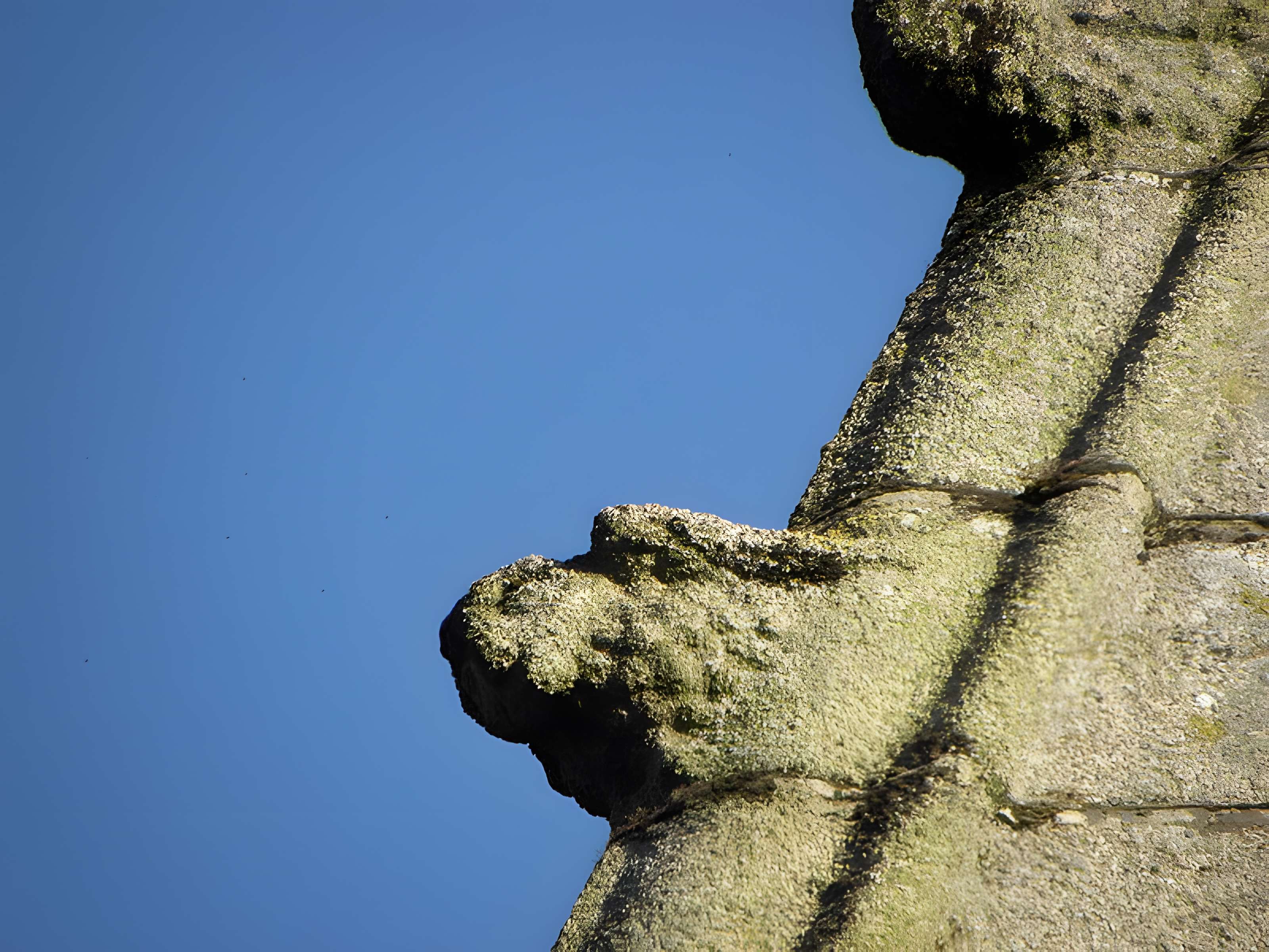 Église Saint-Sulpice de Fougères