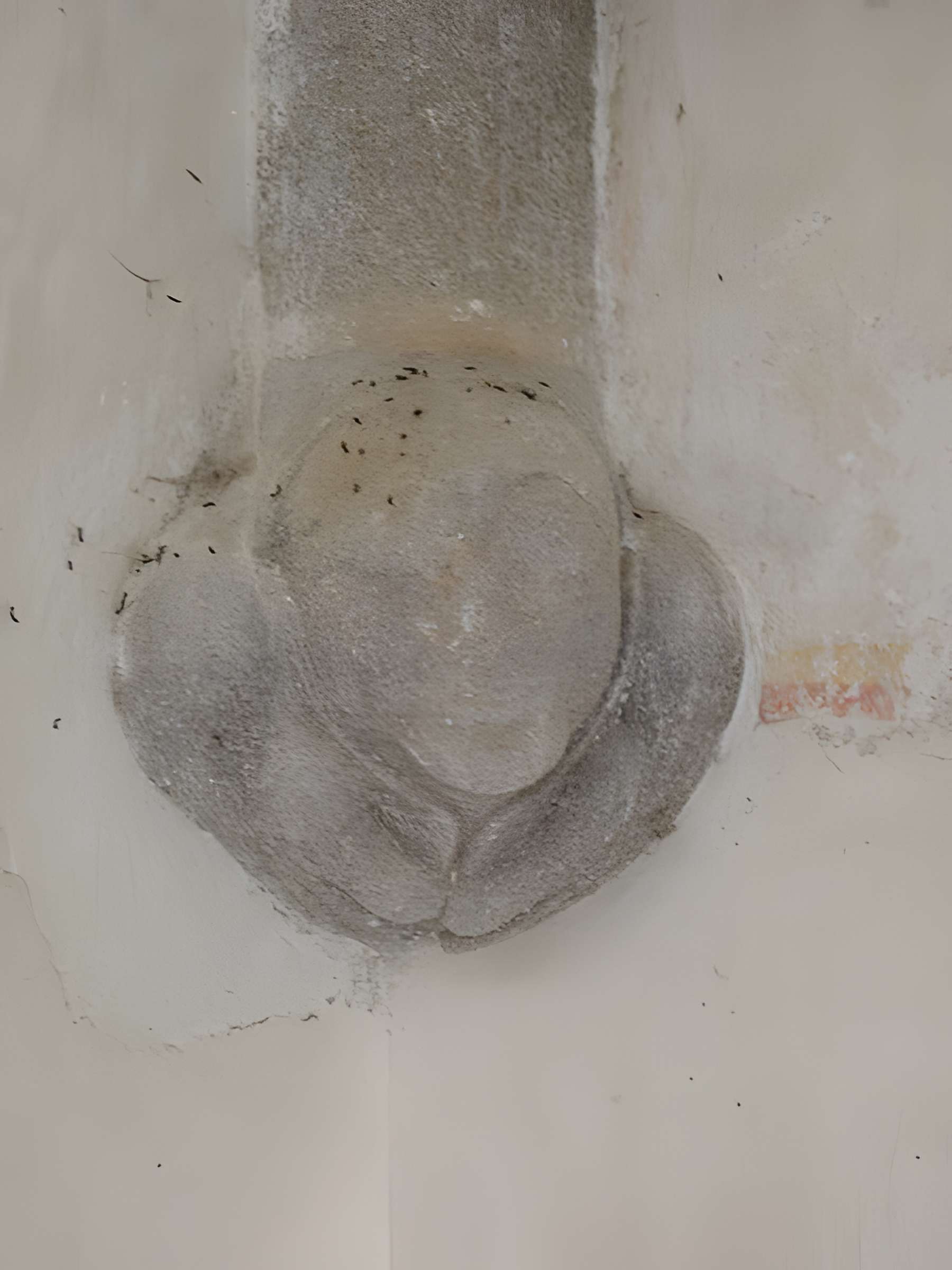 Église Saint-Sulpice de Roussines