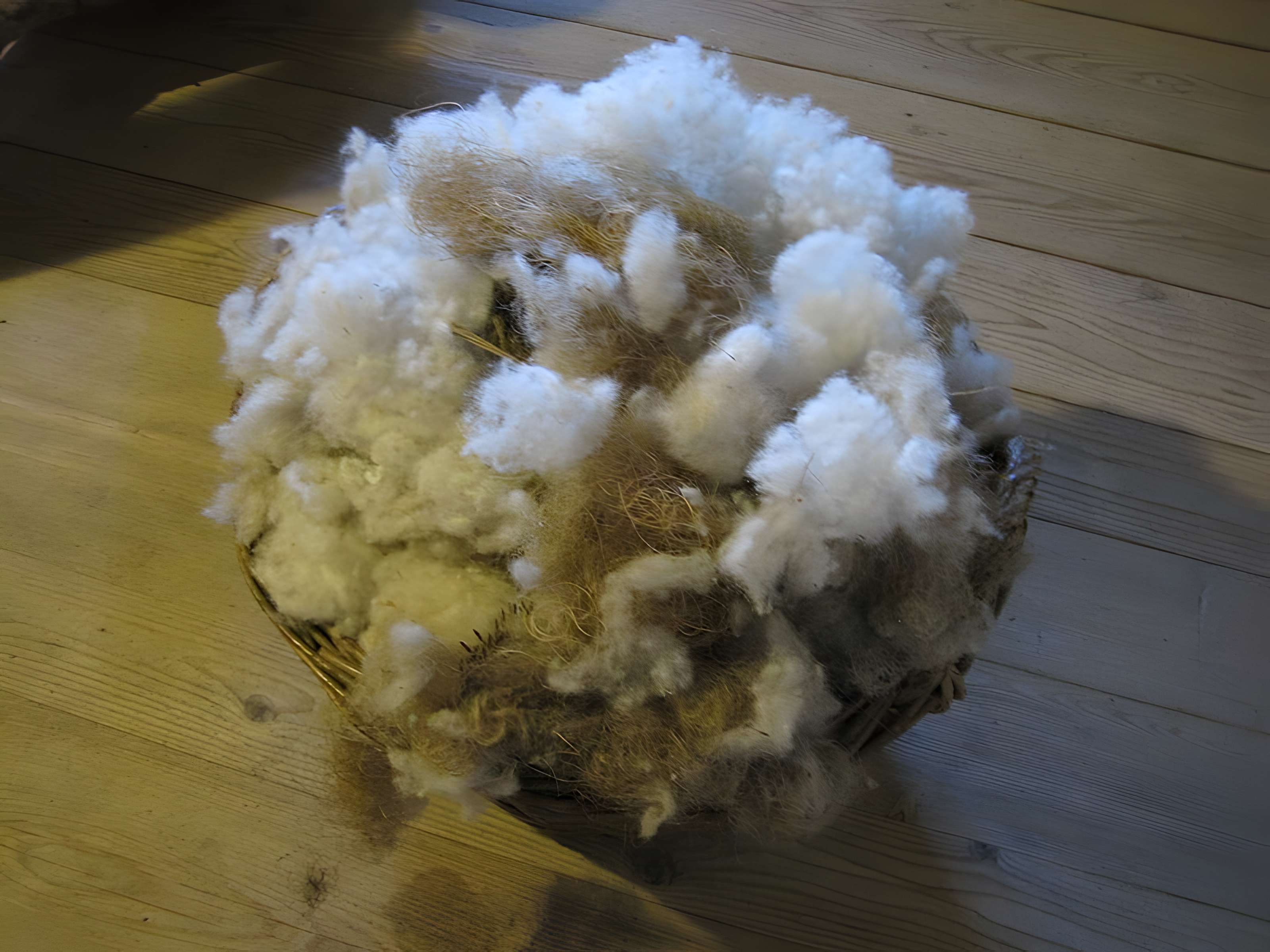 Ferme Jacquemot à Grand'Combe-Châteleu