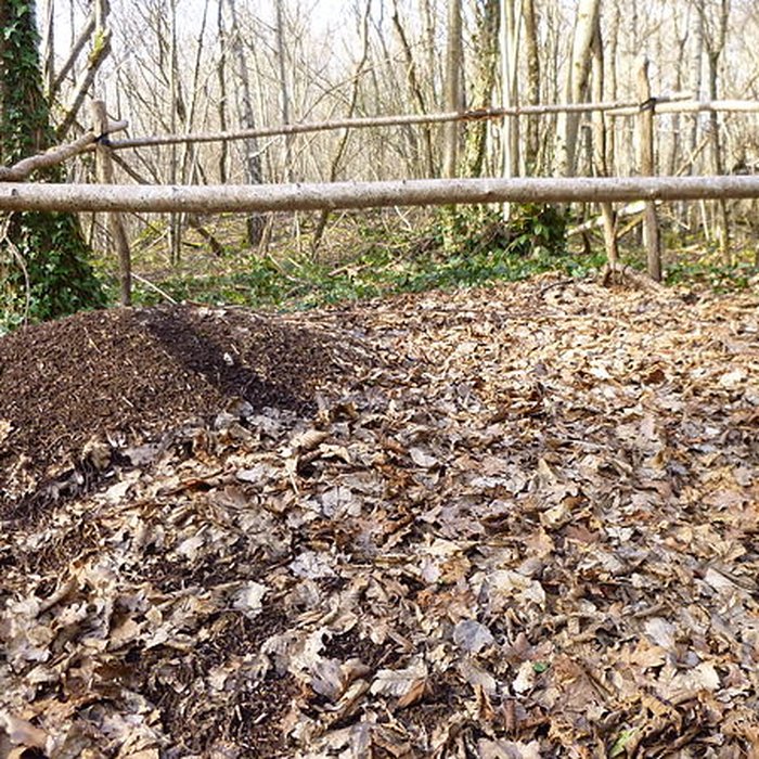 Photo de Ferrier antique de Tannerre-en-Puisaye
