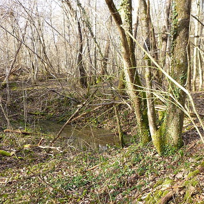 Photo de Ferrier antique de Tannerre-en-Puisaye