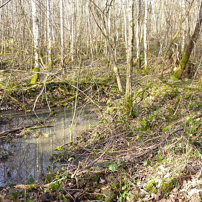 Photo de Ferrier antique de Tannerre-en-Puisaye