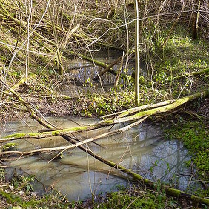 Photo de Ferrier antique de Tannerre-en-Puisaye