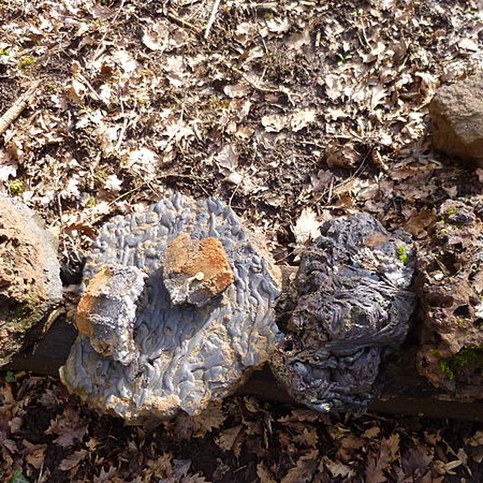 Photo de Ferrier antique de Tannerre-en-Puisaye