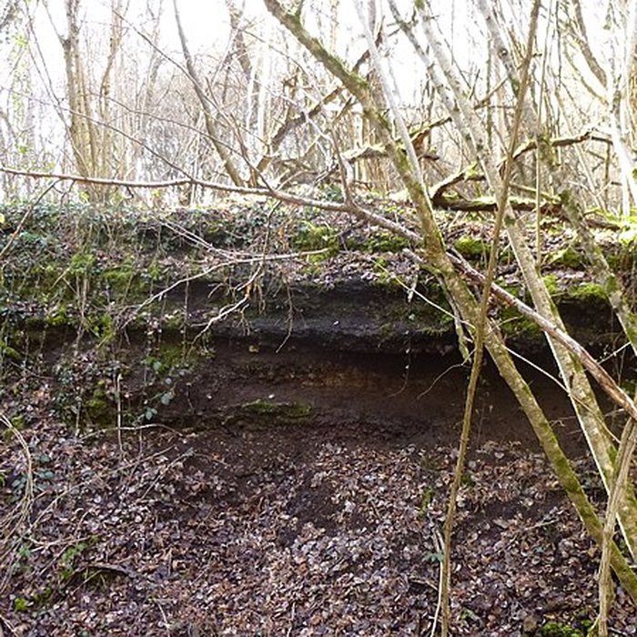 Photo de Ferrier antique de Tannerre-en-Puisaye