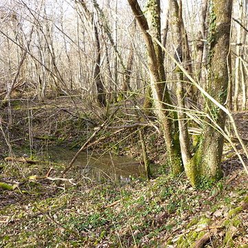 Ferrier antique de Tannerre-en-Puisaye