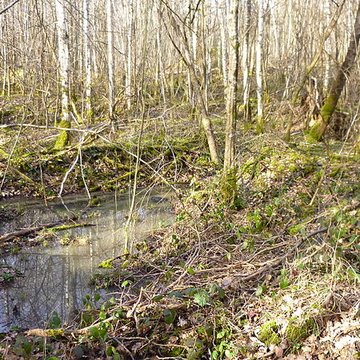 Ferrier antique de Tannerre-en-Puisaye