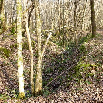 Ferrier antique de Tannerre-en-Puisaye