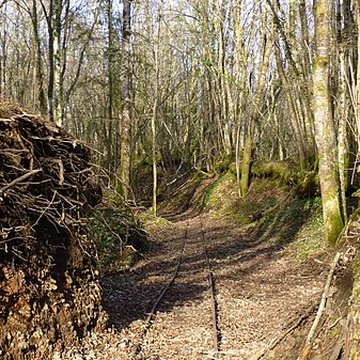 Ferrier antique de Tannerre-en-Puisaye