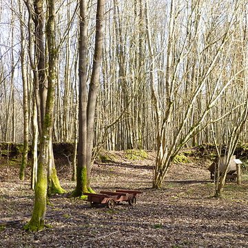 Ferrier antique de Tannerre-en-Puisaye