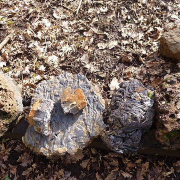 Ferrier antique de Tannerre-en-Puisaye