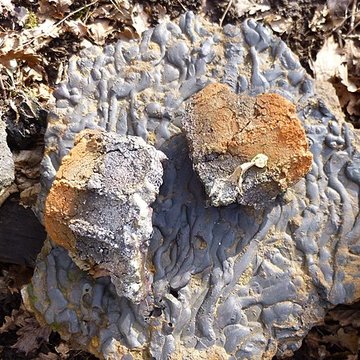 Ferrier antique de Tannerre-en-Puisaye