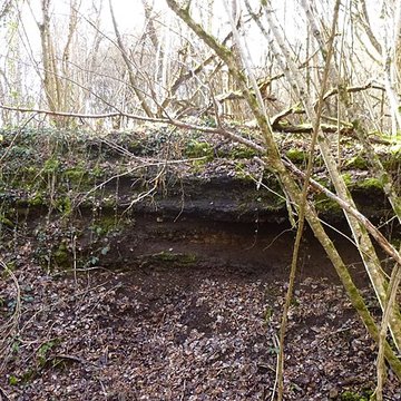 Ferrier antique de Tannerre-en-Puisaye