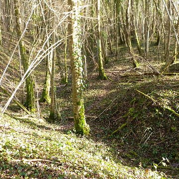 Ferrier antique de Tannerre-en-Puisaye