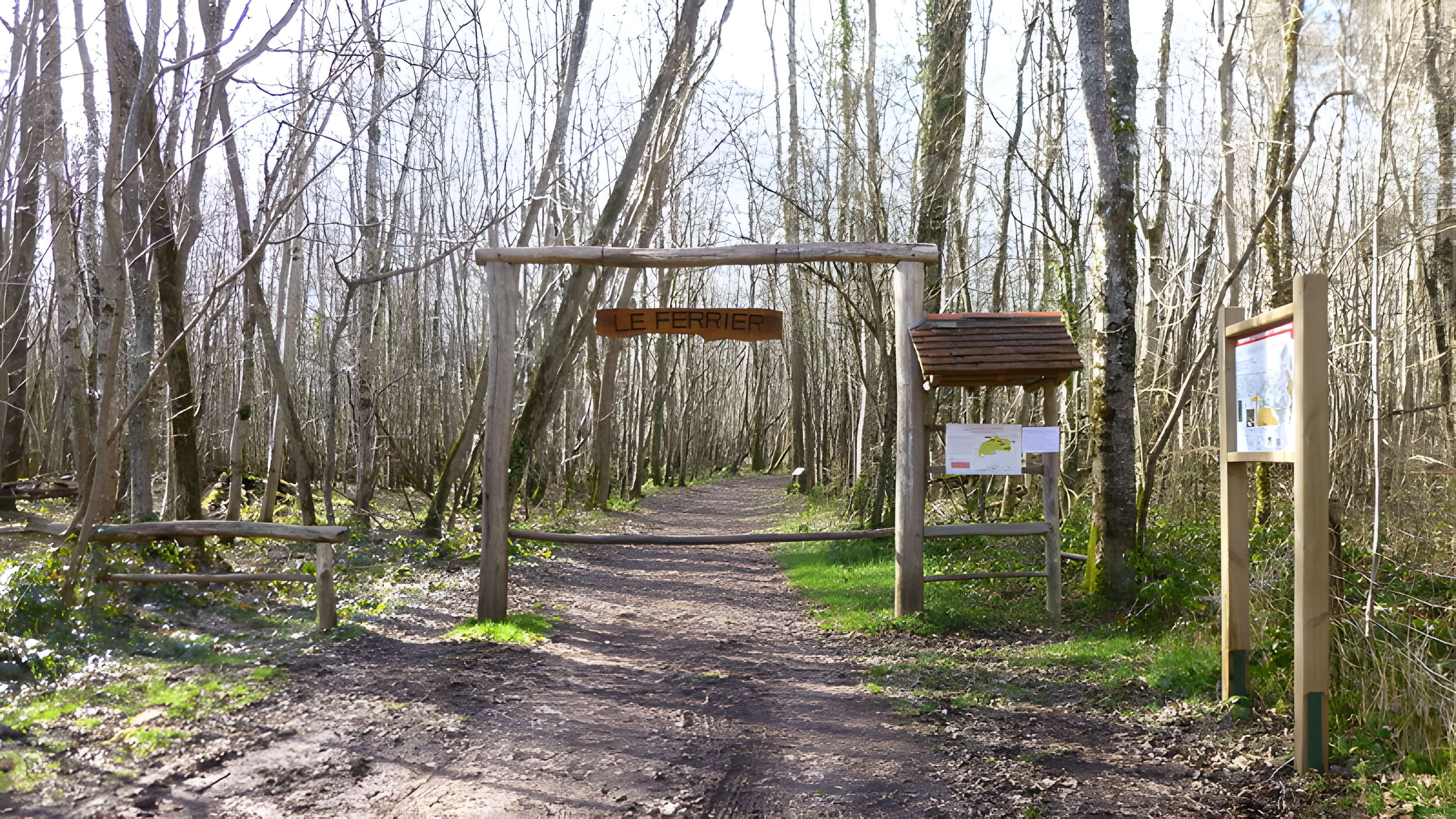 Ferrier antique de Tannerre-en-Puisaye