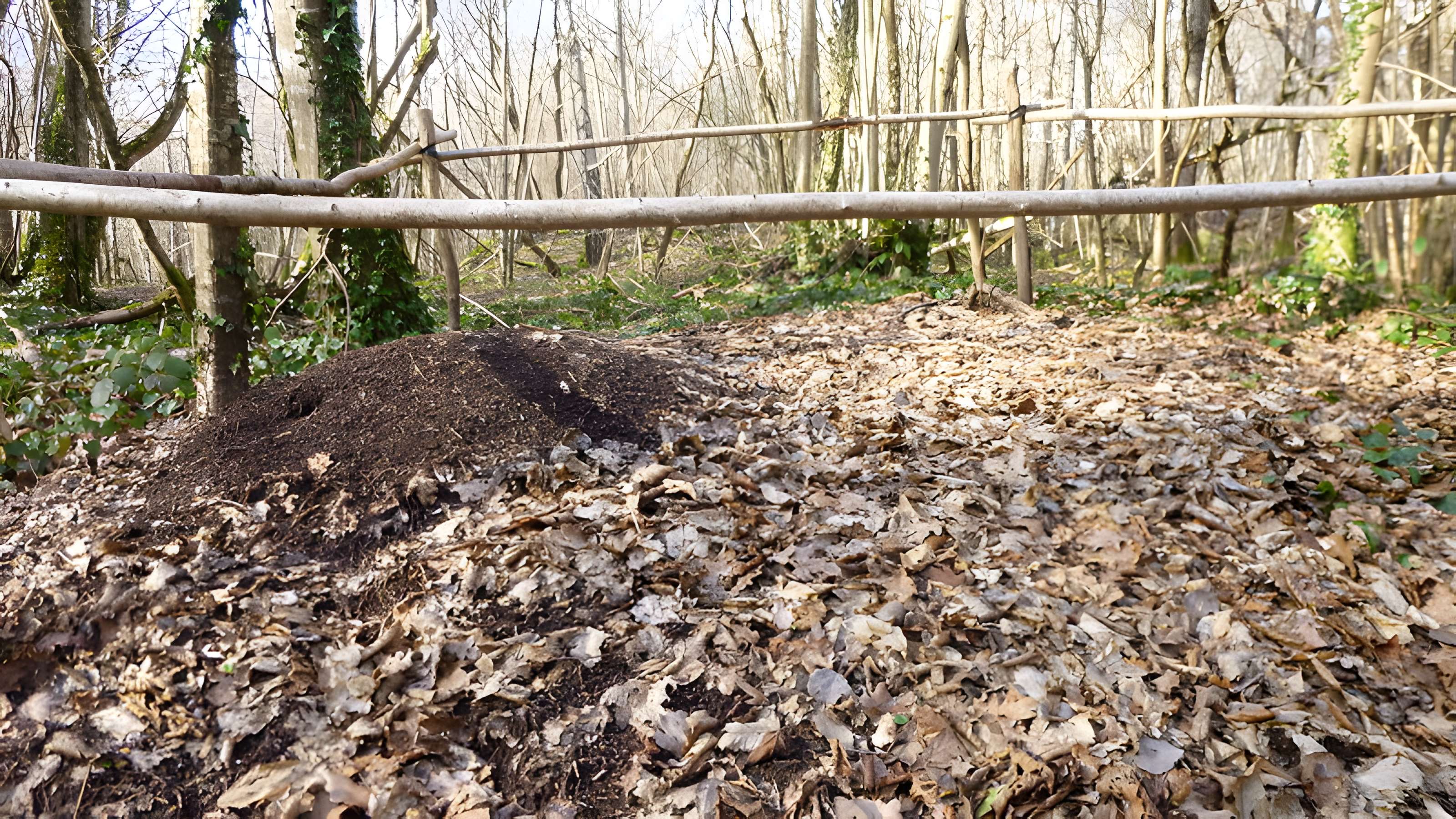 Ferrier antique de Tannerre-en-Puisaye