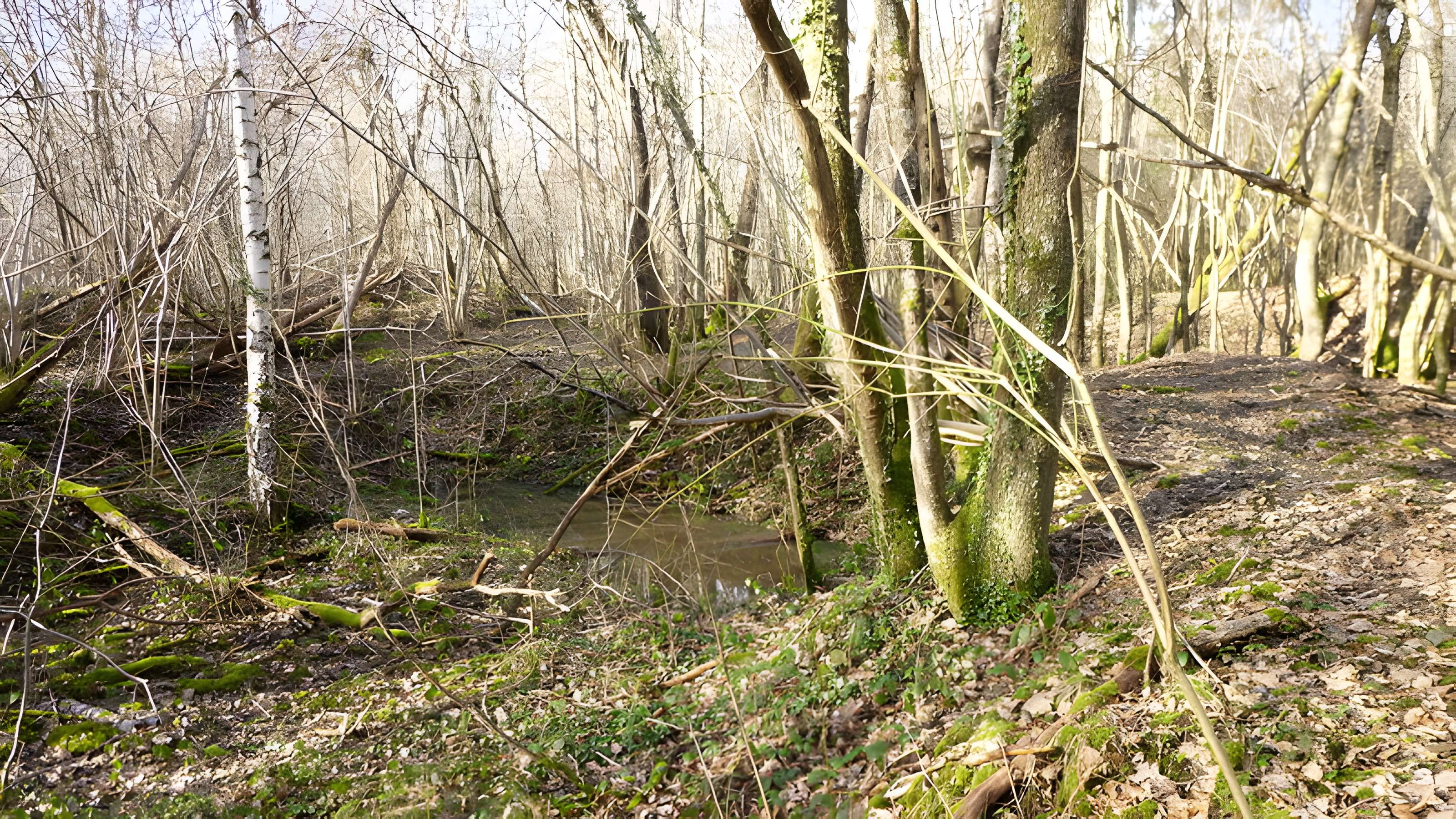 Ferrier antique de Tannerre-en-Puisaye