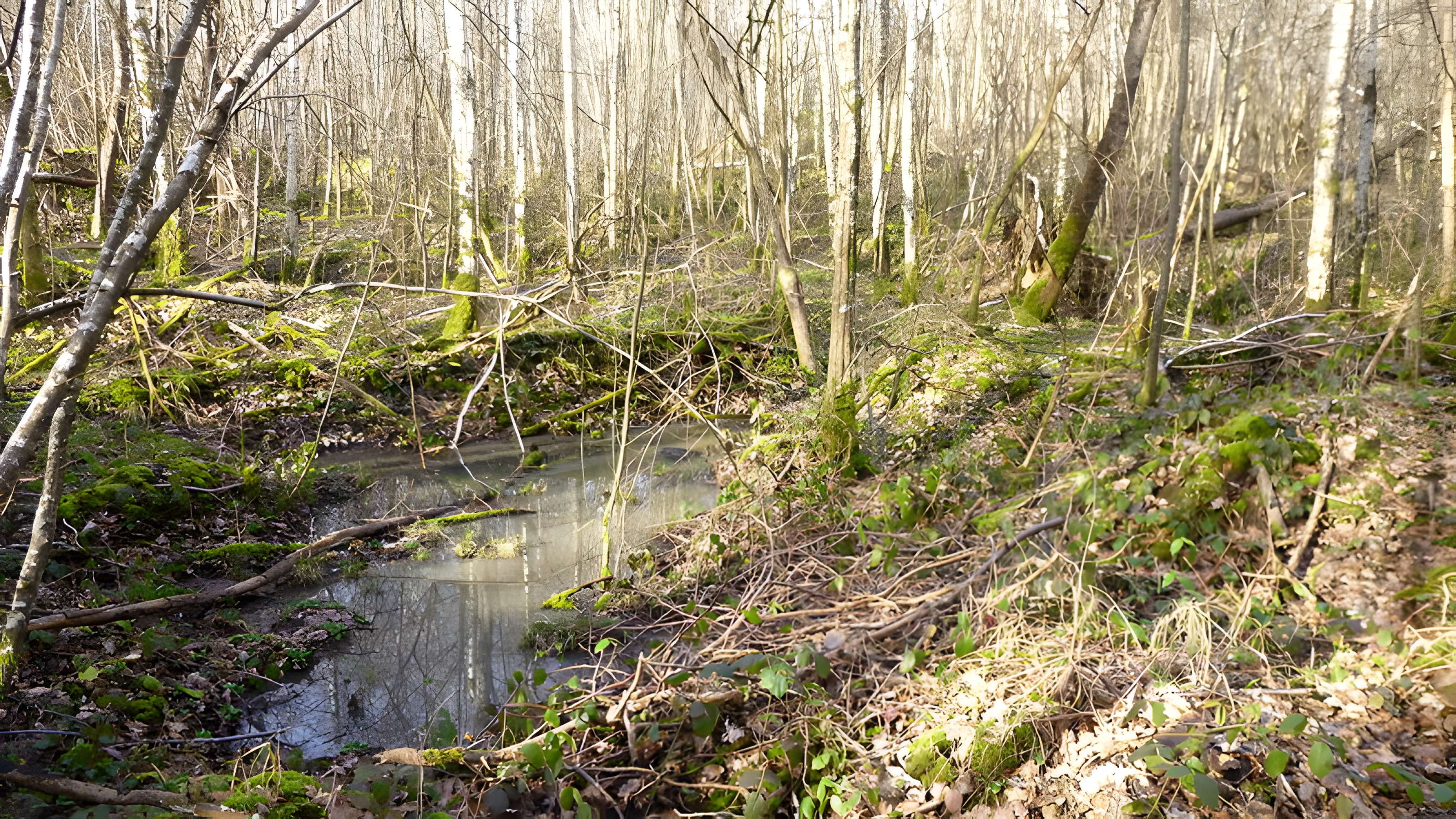 Ferrier antique de Tannerre-en-Puisaye