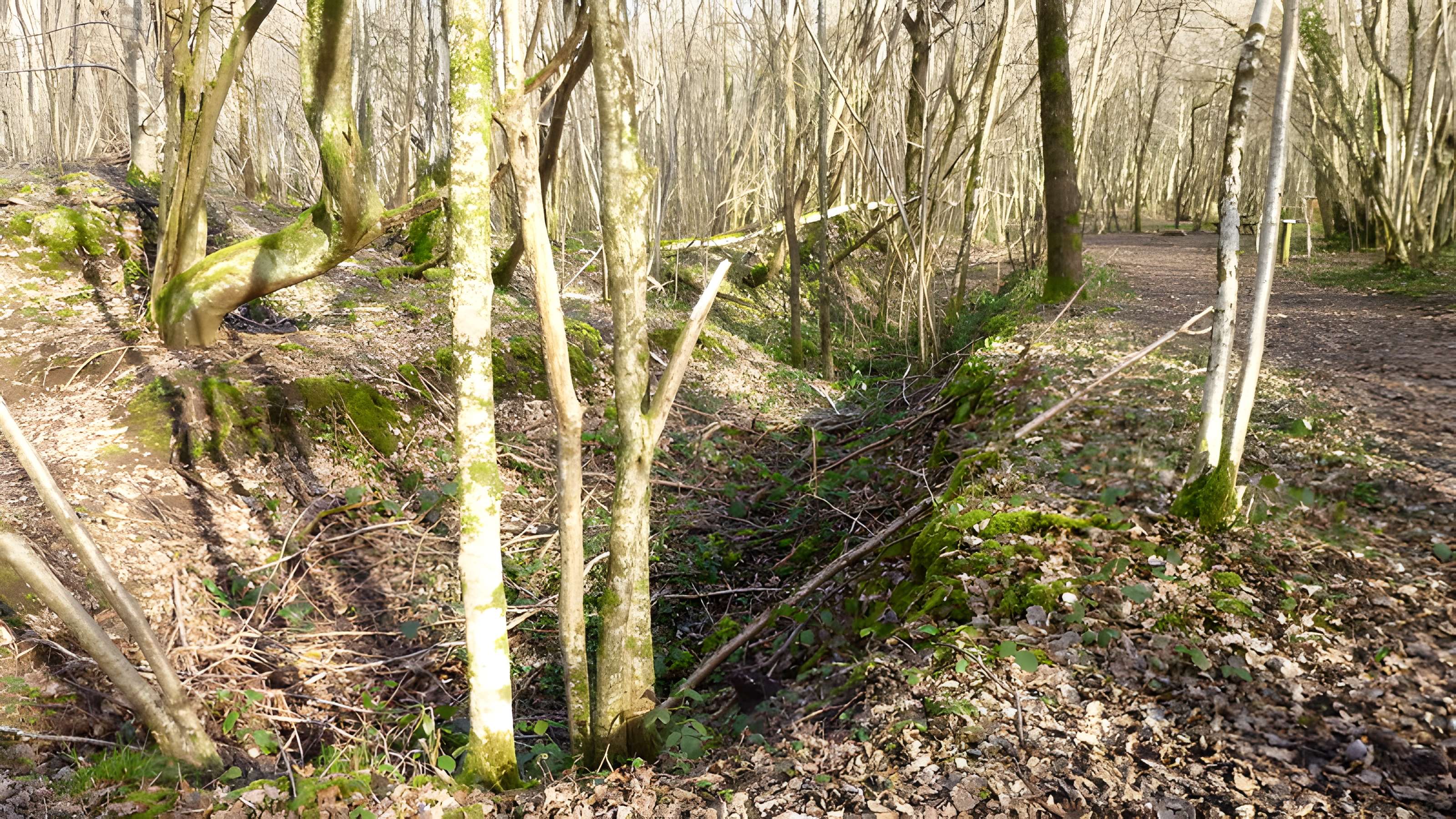 Ferrier antique de Tannerre-en-Puisaye