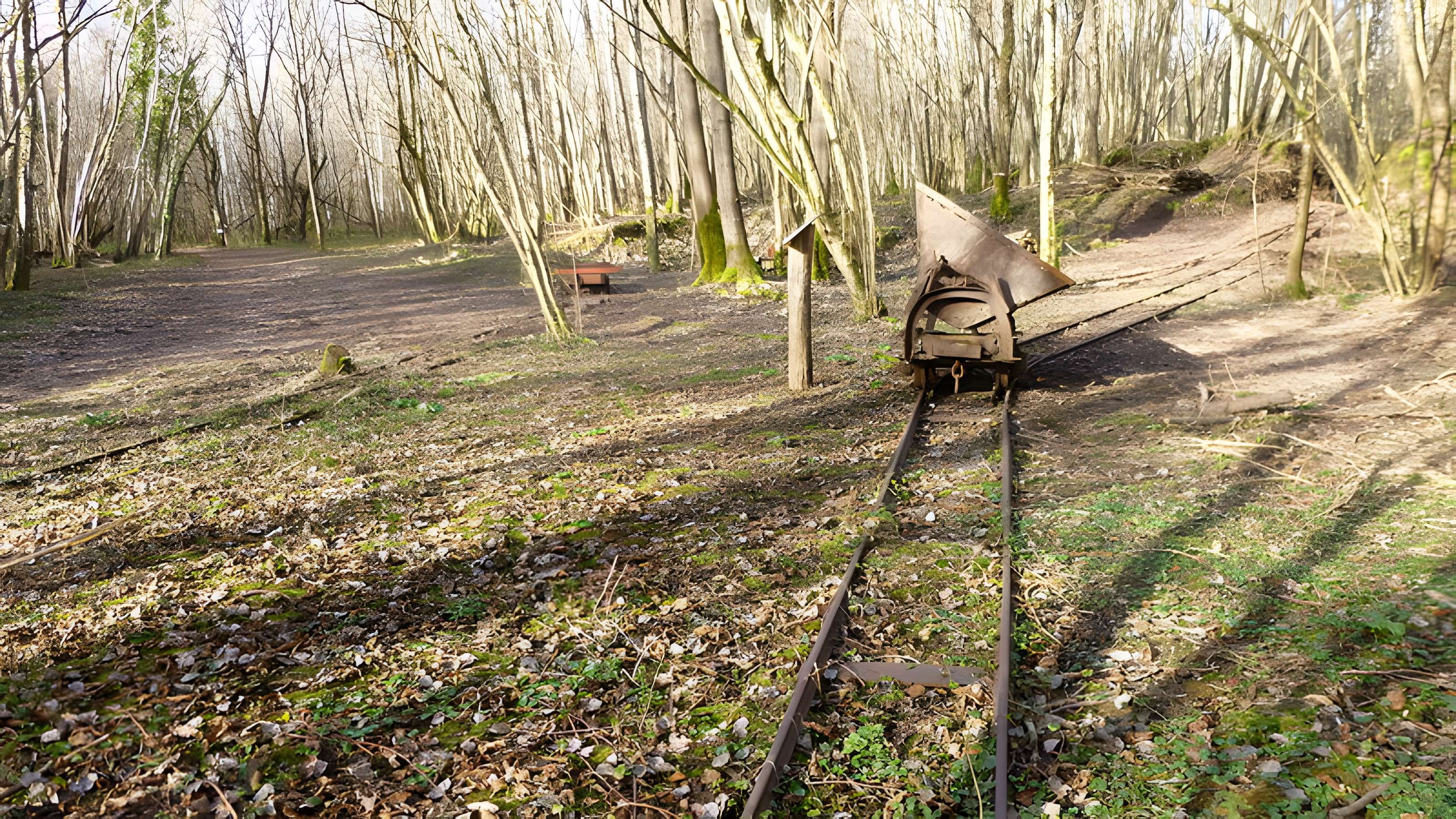 Ferrier antique de Tannerre-en-Puisaye