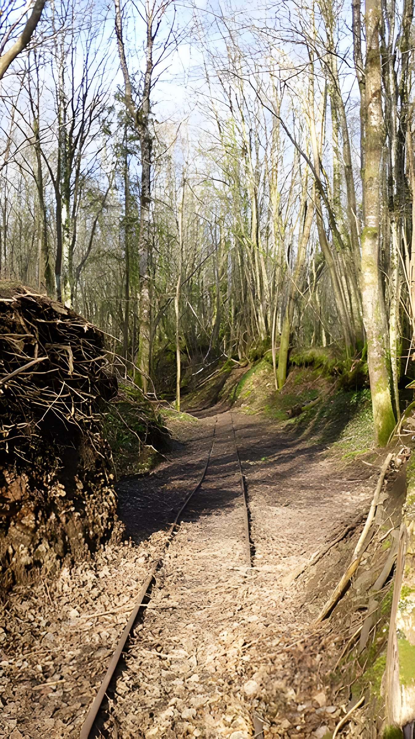 Ferrier antique de Tannerre-en-Puisaye