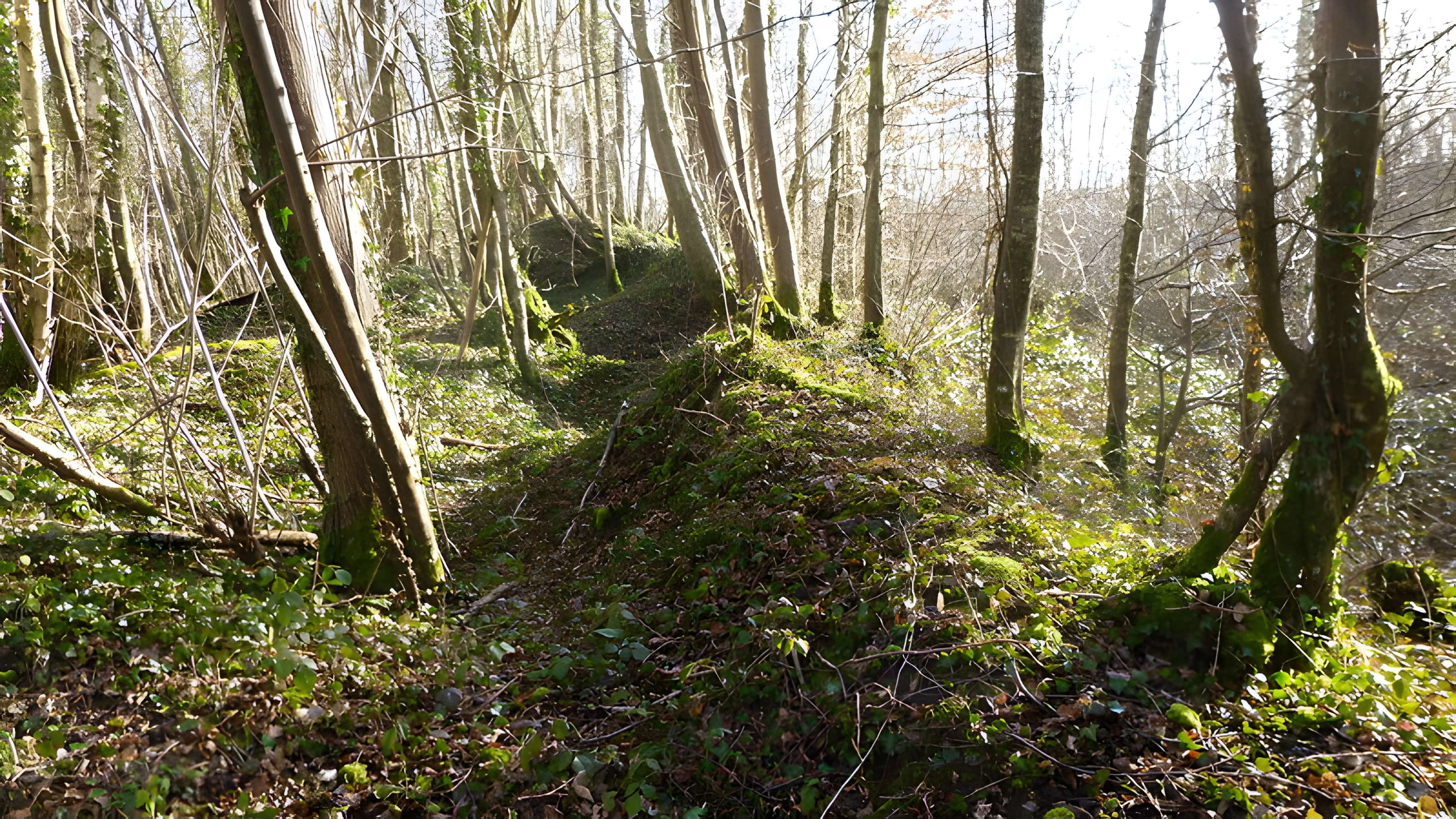 Ferrier antique de Tannerre-en-Puisaye