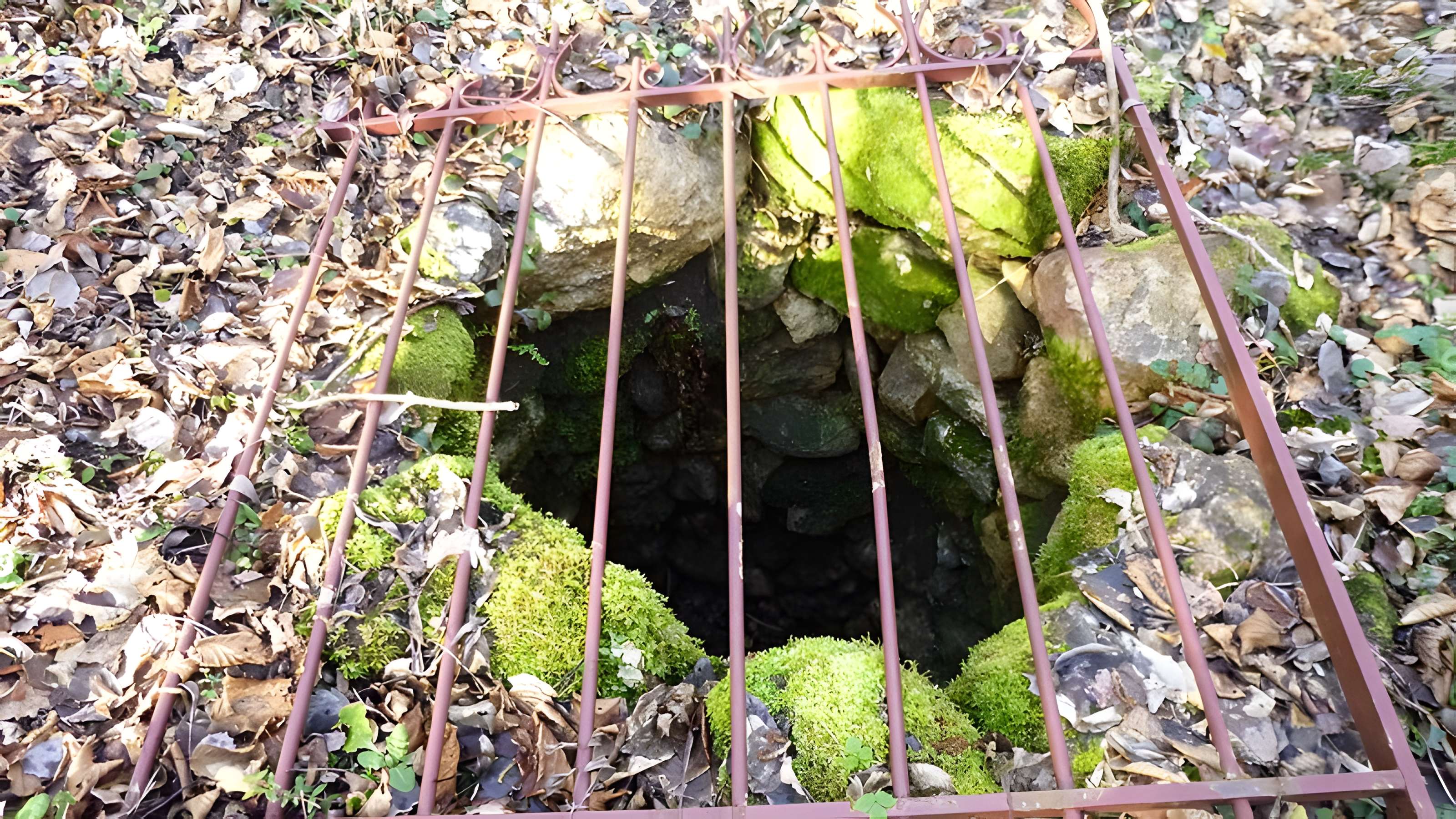 Ferrier antique de Tannerre-en-Puisaye