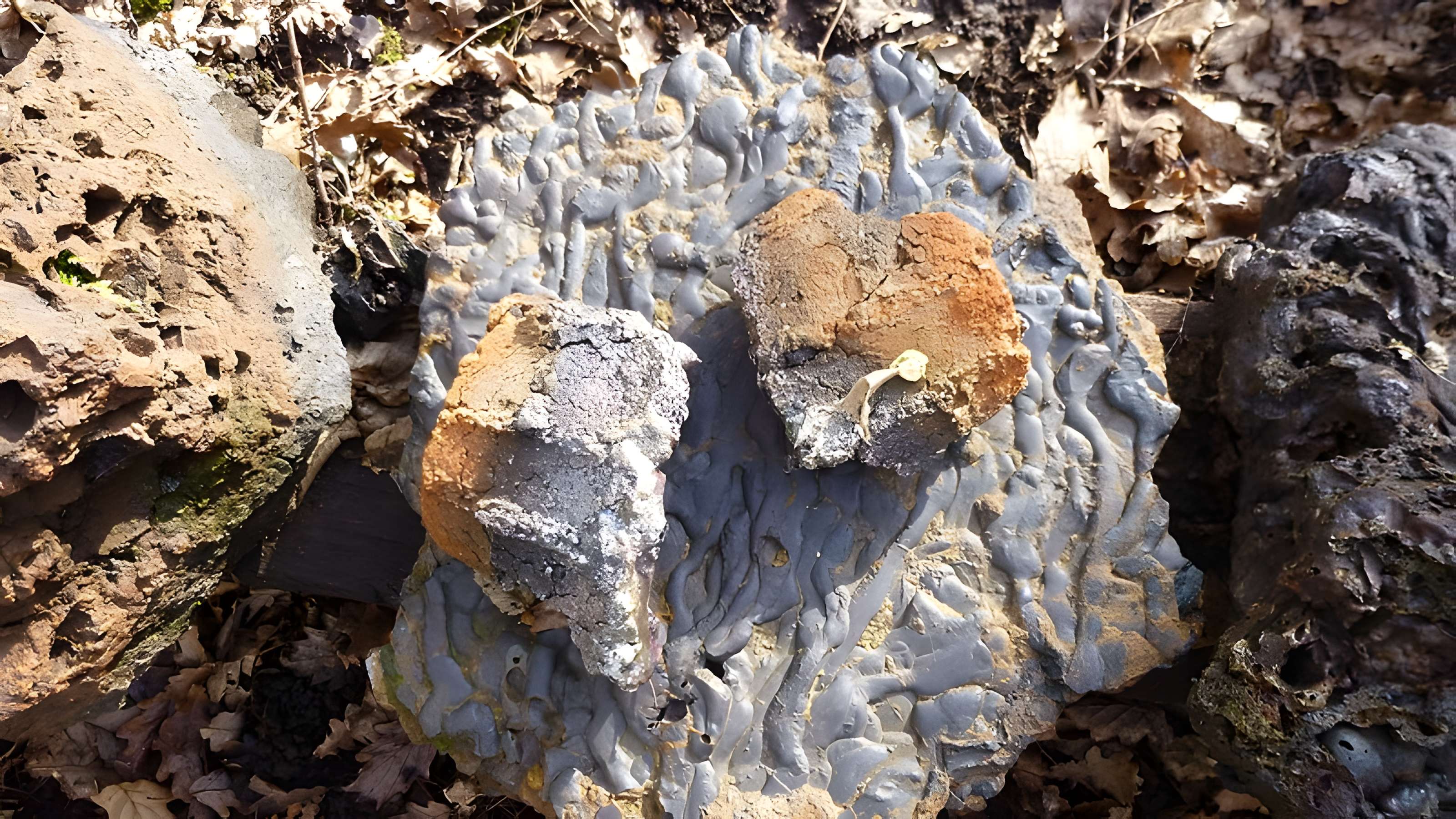 Ferrier antique de Tannerre-en-Puisaye