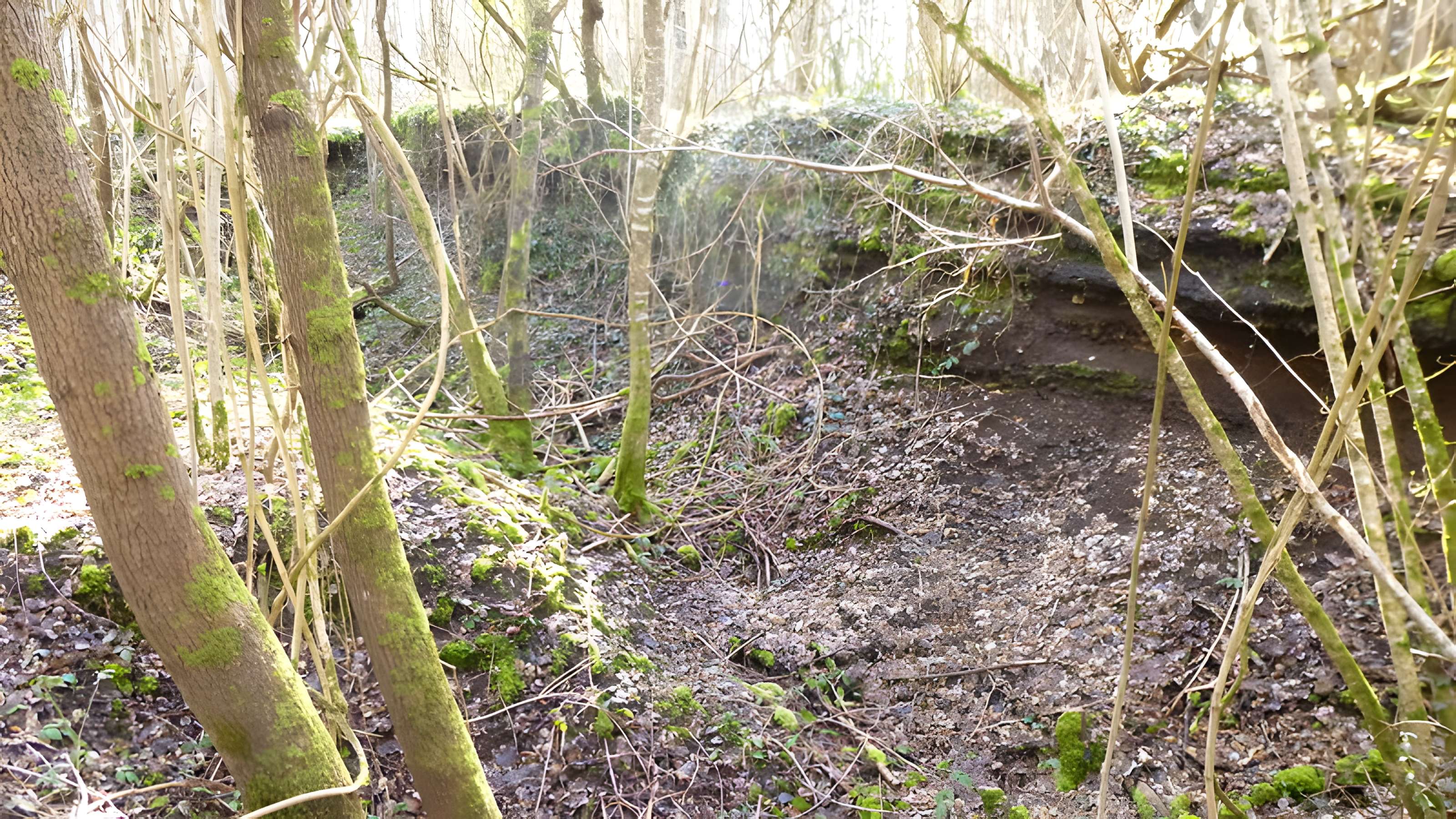 Ferrier antique de Tannerre-en-Puisaye