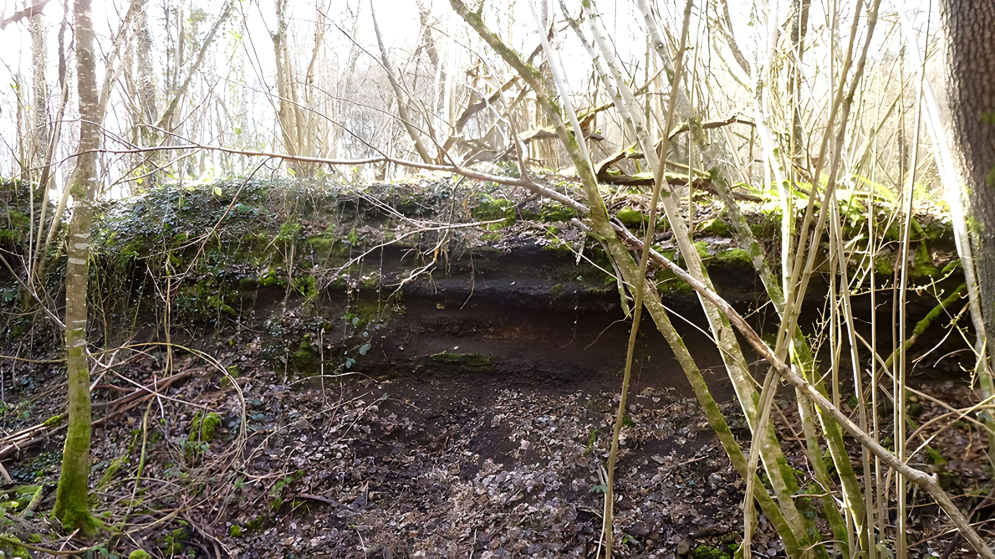 Ferrier antique de Tannerre-en-Puisaye