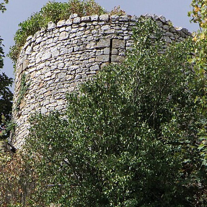 Photo de Enceinte de Domfront