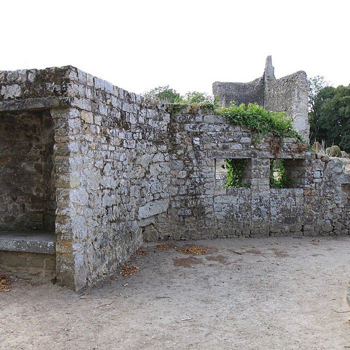 Photo de Enceinte de Domfront