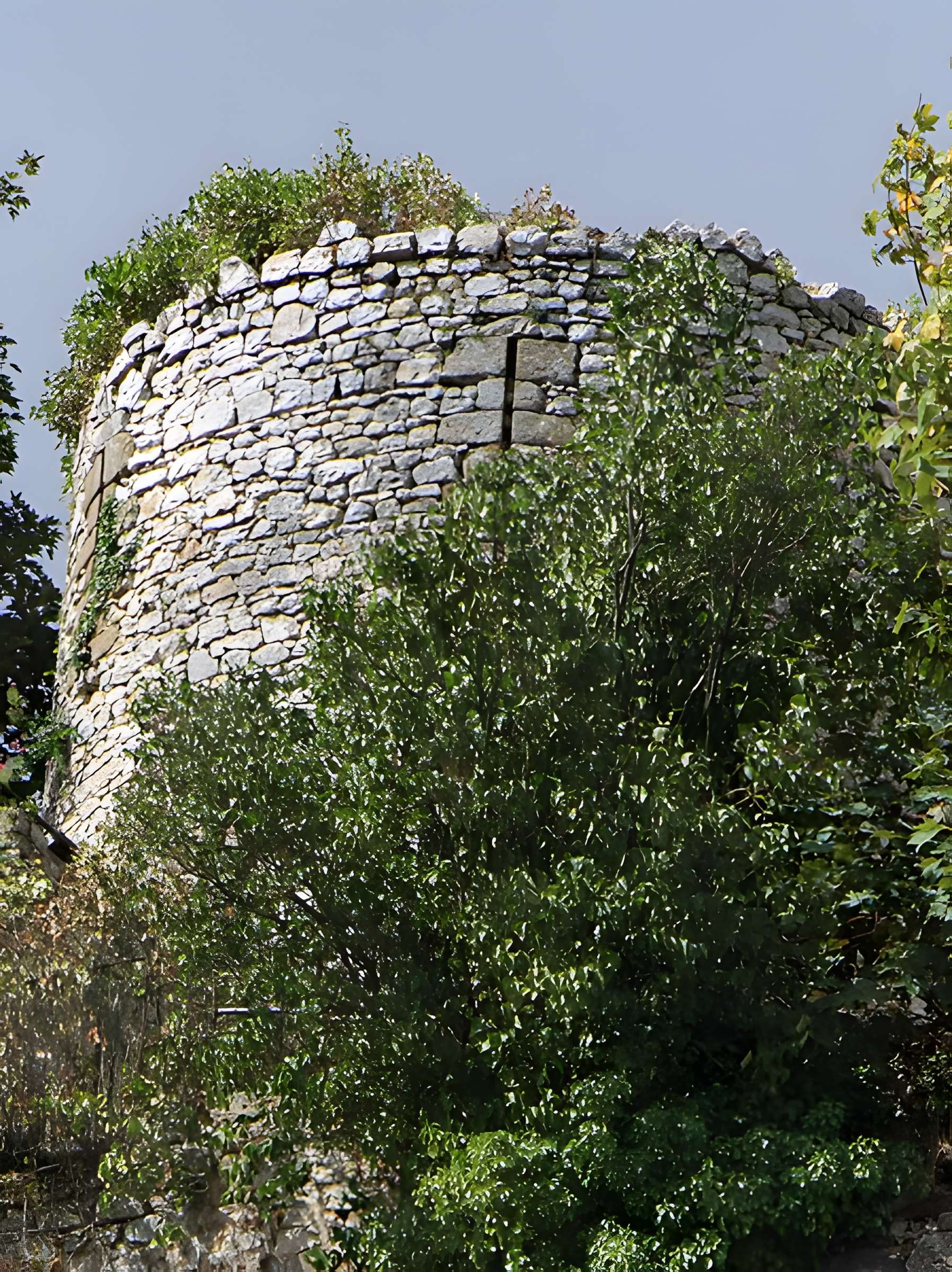 Enceinte de Domfront