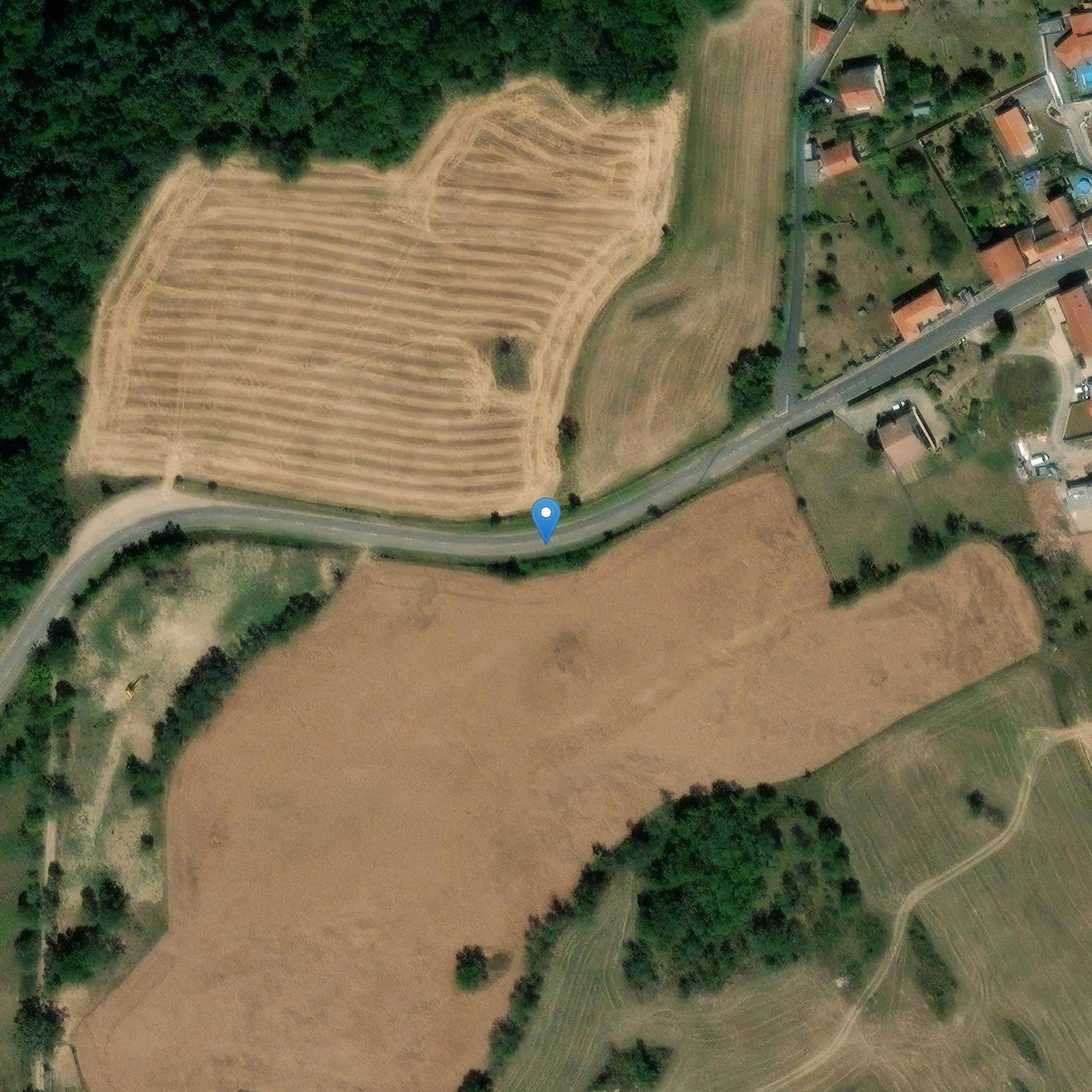 Photo de Pregnant of Montbrison