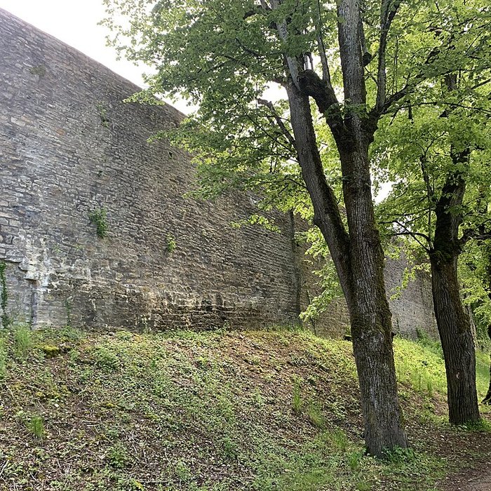 Photo de Enceinte de Vézelay