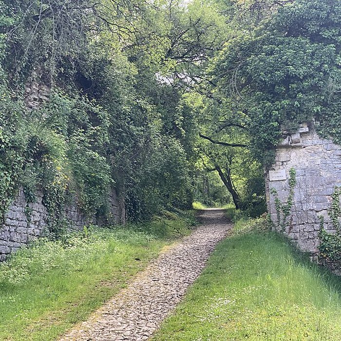 Photo de Enceinte de Vézelay