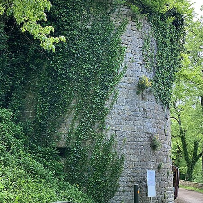 Photo de Enceinte de Vézelay