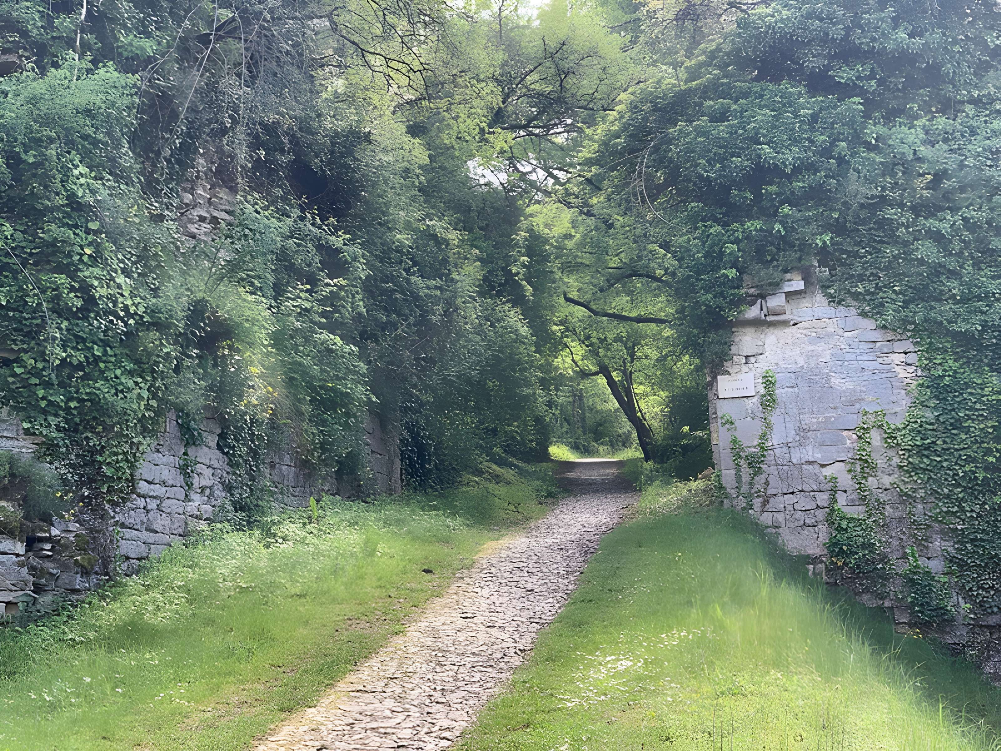 Enceinte de Vézelay
